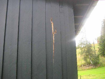 if you get one of those every day or if it was a car - YES!