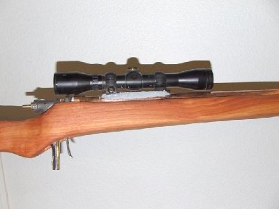 A close-up of the scope and trigger.