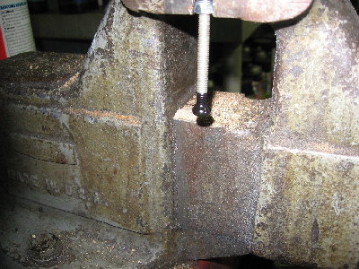 showing wha the head looks like right after dipping....