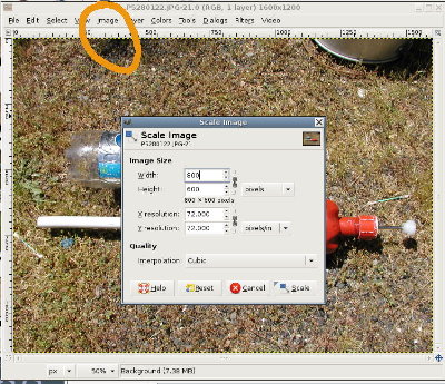 Resizing in The Gimp.  Resize is under the Image menu.