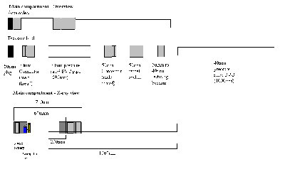 Main Compartment