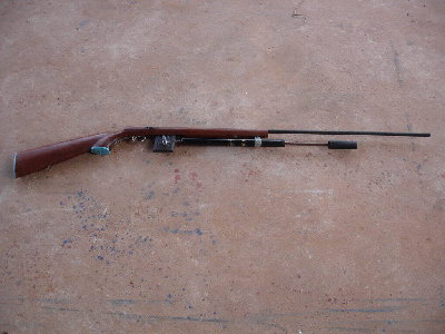 Pn.Rifle.jpg