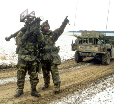 stinger-2.jpg