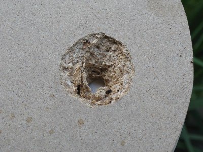 exit hole.JPG (118.39 KiB) Viewed 2957 times Test shot @ 23mm MDF