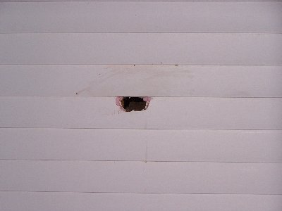 Today I was shooting at my usual target which is fence stakes, but I had a loose grip on the gun and then when I shot it, the gun went up from the kick and shot a tomato through my garage......