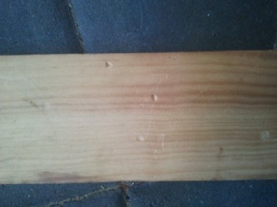 at only 100psi from the QEV gun they leave a nice dent in solid wood