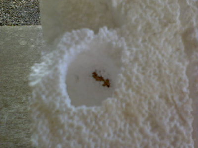 slug in foam from 10m