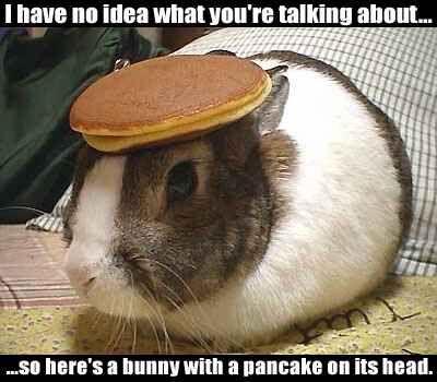 pancake%20bunny.jpg