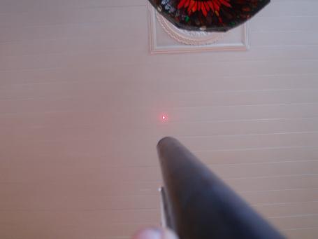 The laser and barrel.Can you see the red dot?