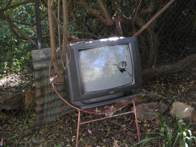 tv.jpg