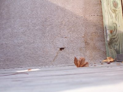 My bolts last shot it broke but did lots of damage.