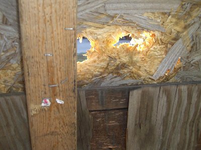 back damage.JPG (178 KiB) Viewed 2616 times my damage to plywood at 70psi using a lemon