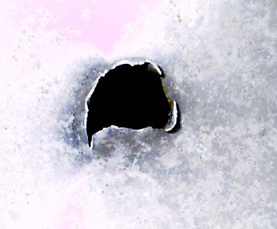 the hole