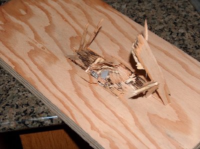 plywood exit hole.jpg (175.15 KiB) Viewed 5166 times The exit side. 3/4" spruce plywood. Shot at a range of 5 yards. 1/2 ounce fishing weight/hot glue ammo @ 400psi